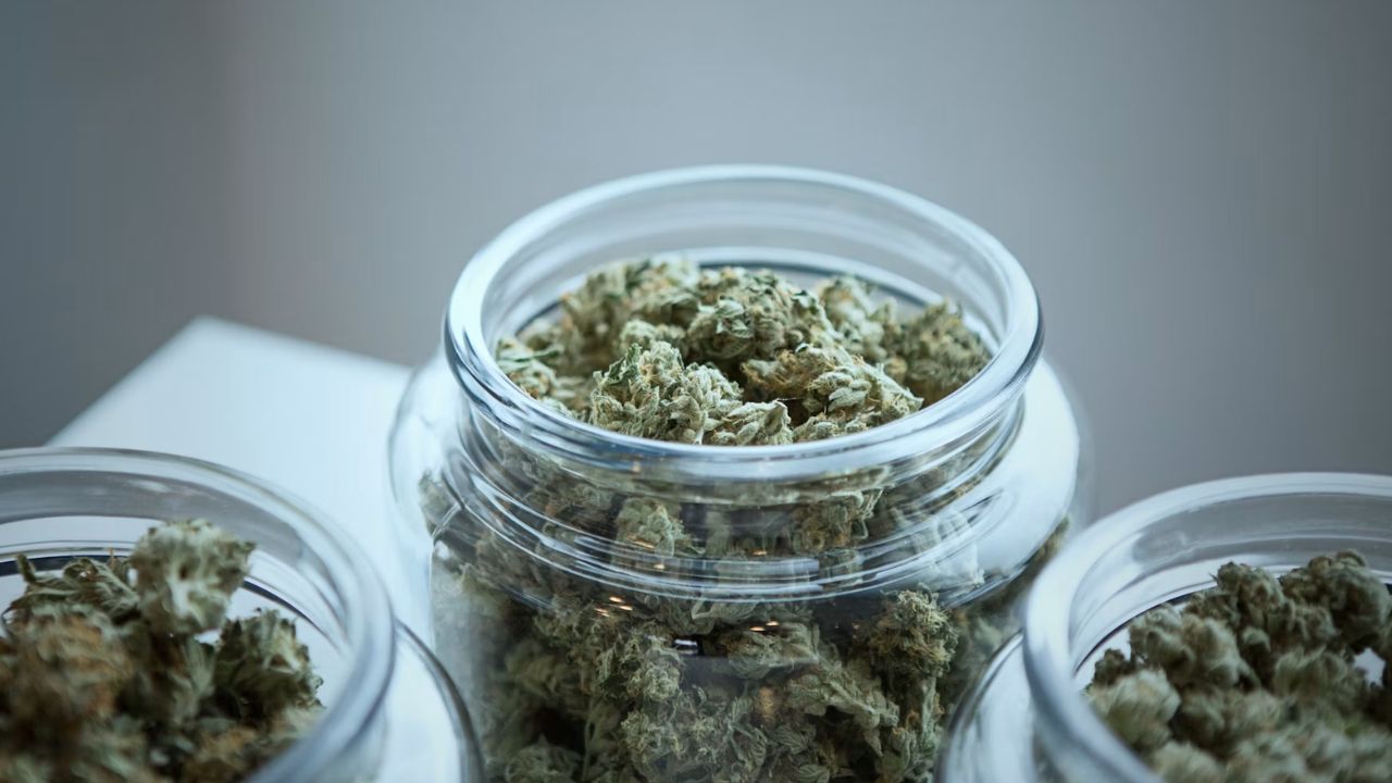 Beyond the High: The Psychological Effects of Cannabis